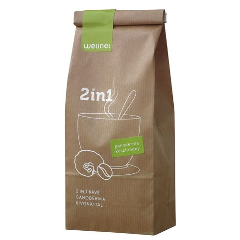 Ganoderma 2 in 1 kávé 160 g